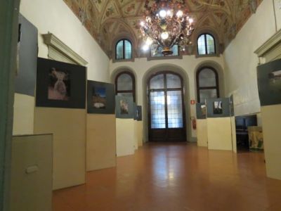  2. La mostra
