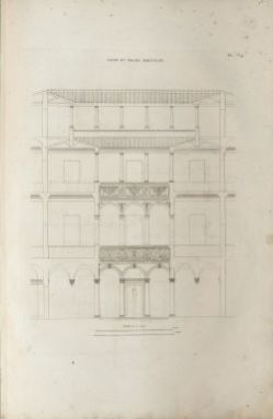 Pl.  64. Coupe du Palais Bartolini