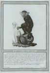 Storia naturale delle scimie e dei maki, p. 38 Storia naturale delle scimie e dei maki, p. 38