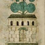 Codice erbario ms106, c . 69v cimbalaria